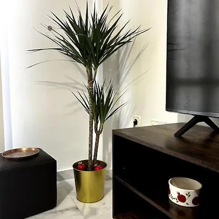 Апартаменты Yalda Jerez